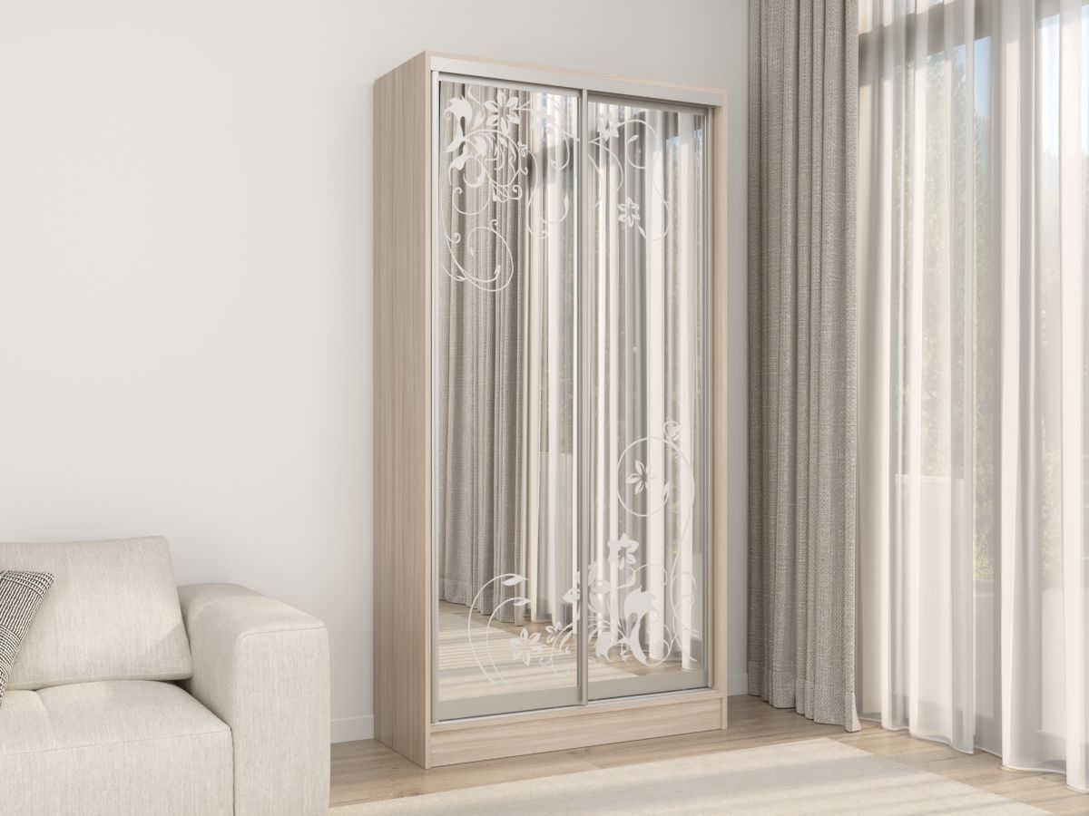 Шкаф-купе Концепт 1